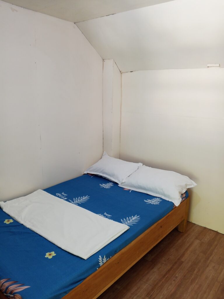 Bed of Beach House I